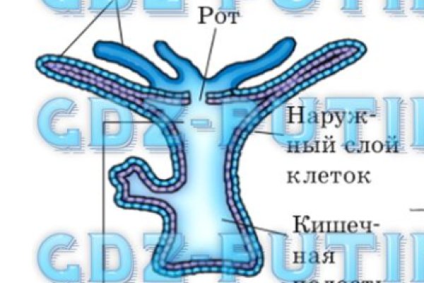 Кракен тг ссылка