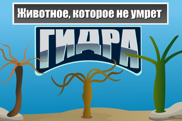 Как зайти на кракен через тор браузер